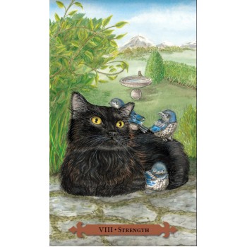 Mystical Cats Tarot kortos Llewellyn