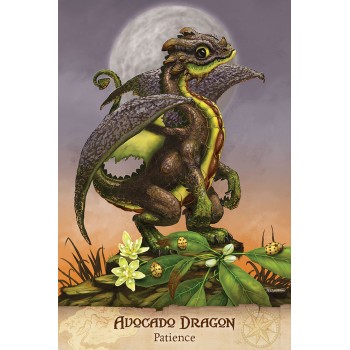 Field Guide To garden Dragons Taro kortos US Games Systems