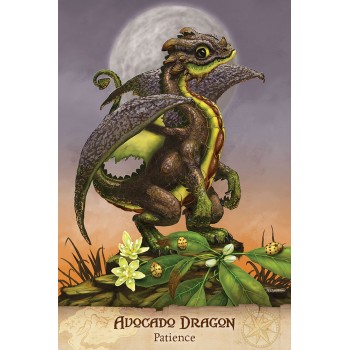 Field Guide To garden Dragons Taro kortos US Games Systems