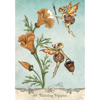 Fairy Wisdom Oracle kortos ir knyga US Games Systems