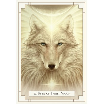 White Light Oracle kortos Blue Angel