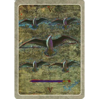 The Secret Language of Birds Taro Kortos Schiffer Publishing