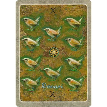 The Secret Language of Birds Taro Kortos Schiffer Publishing