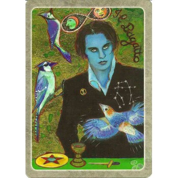 The Secret Language of Birds Taro Kortos Schiffer Publishing