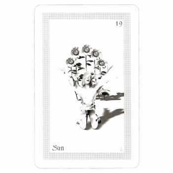 ShadowFox Tarot Kortos Schiffer Publishing