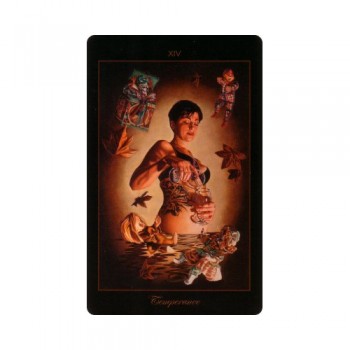Lowbrow Tarot: Major Arcana kortos Schiffer Publishing