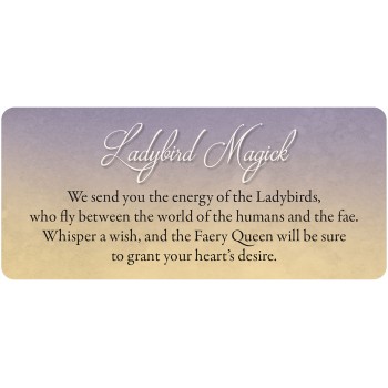 Faery Whispers Oracle kortos Blue Angel