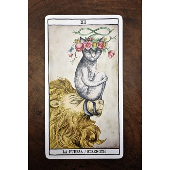 Tarot Cats kortos Fournier