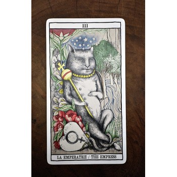 Tarot Cats kortos Fournier