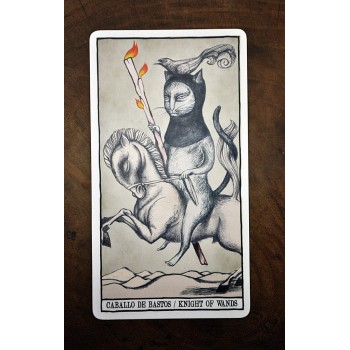 Tarot Cats kortos Fournier