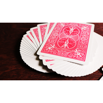 Bicycle Fuchsia Rider Back kortos