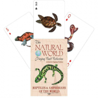 Reptiles And Amphibians of the Natural World žaidimo kortos