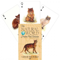 Cats of the Natural World žaidimo kortos