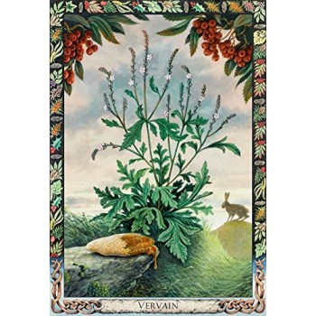 The Druid Plant Oracle Kortos Welbeck Publishing