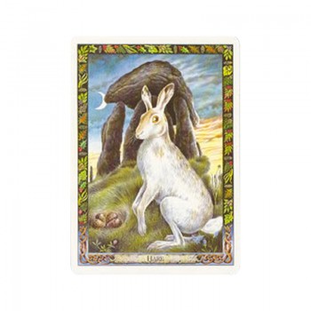 The Druid Animal Oracle Cards and Book set Orange Hippo