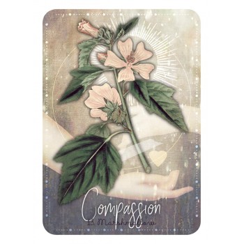 Magickal Herb Oracle kortos Rockpool
