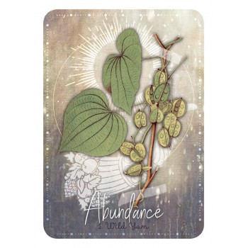 Magickal Herb Oracle kortos Rockpool