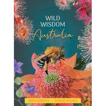 Wild Wisdom Australia Oracle kortos Blue Angel
