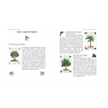 Tree Magick Oracle kortos Cico Books