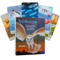 Bird Messages kortos Cico Books