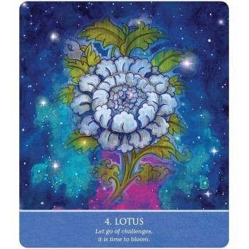 Auspicious Symbols Oracle kortos US Games Systems