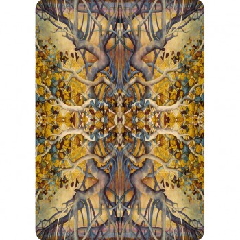 Portraits of a Woman Aspects of a Goddess kortos Lo Scarabeo
