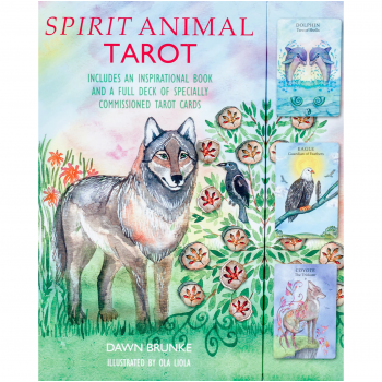 Spirit Animal Taro kortos Cico Books