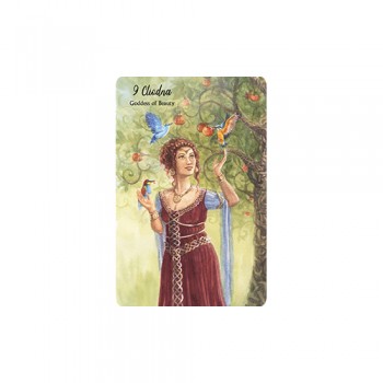 Celtic Goddess Oracle kortos Cico Books