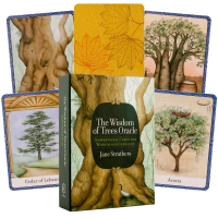 The Wisdom Of Trees Oracle kortos Watkins Publishing