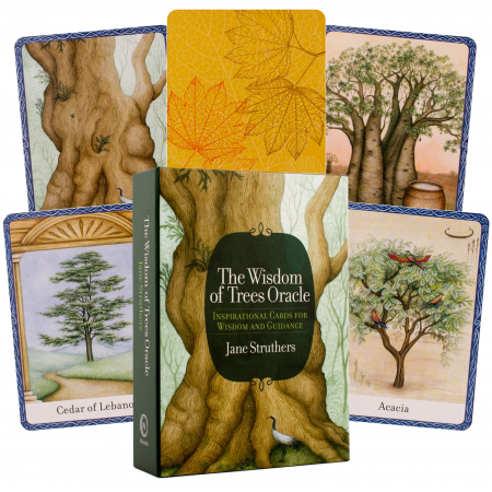The Wisdom Of Trees Oracle kortos Watkins Publishing