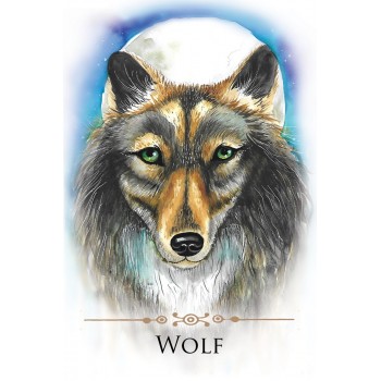 Spirit Animals Message kortos Animal Dreaming