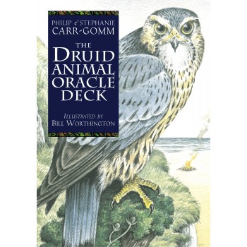 The Celtic Tree Oracle kortos Welbeck Publishing