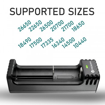 everActive LC-100 Smart Lithium Baterijų įkroviklis