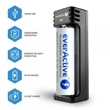everActive LC-100 Smart Lithium Baterijų įkroviklis