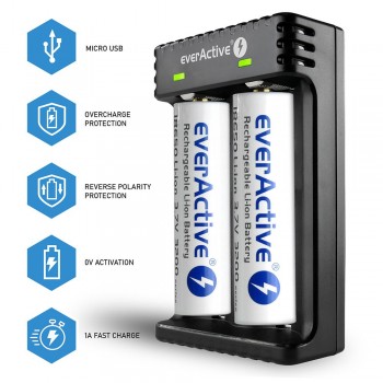 everActive LC-200 Smart Lithium Baterijų įkroviklis