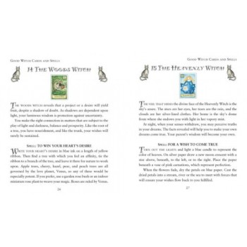 The modern wiccan box of spells cards burtų kortos Cico Books