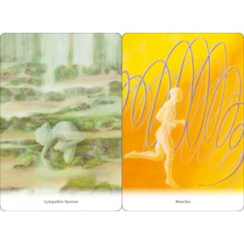 Body healing Cards kortos Findhorn Press