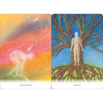 Body healing Cards kortos Findhorn Press