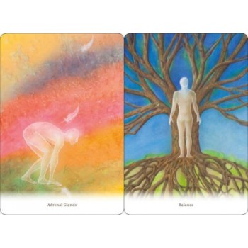 Body healing Cards kortos Schiffer Publishing