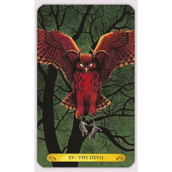 Tarot of the owls kortos Llewellyn