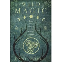 Wild Magic knyga Llewellyn