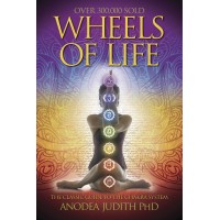 Wheels Of Life knyga Llewellyn
