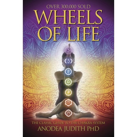 Wheels Of Life knyga Llewellyn