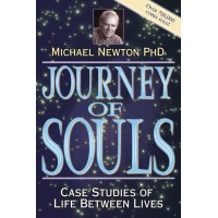 Journey of Souls knyga Llewellyn