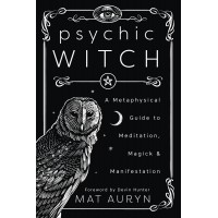 Psychic Witch knyga Llewellyn