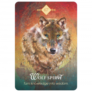 The Spirit Animal Oracle kortos Hay House