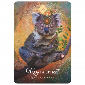 The Spirit Animal Oracle kortos Hay House