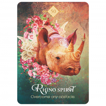 The Spirit Animal Oracle kortos Hay House