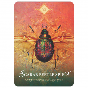 The Spirit Animal Oracle kortos Hay House