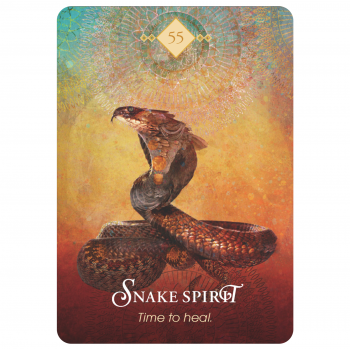 The Spirit Animal Oracle kortos Hay House
